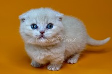 Caspian (Кеспиен)