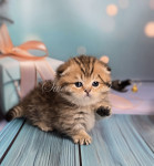 Nala